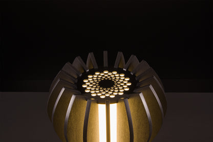 Handcrafted Futura lamp in dark stained walnut, Italian luxury lighting, soft warm LED glow, studio black backdrop.